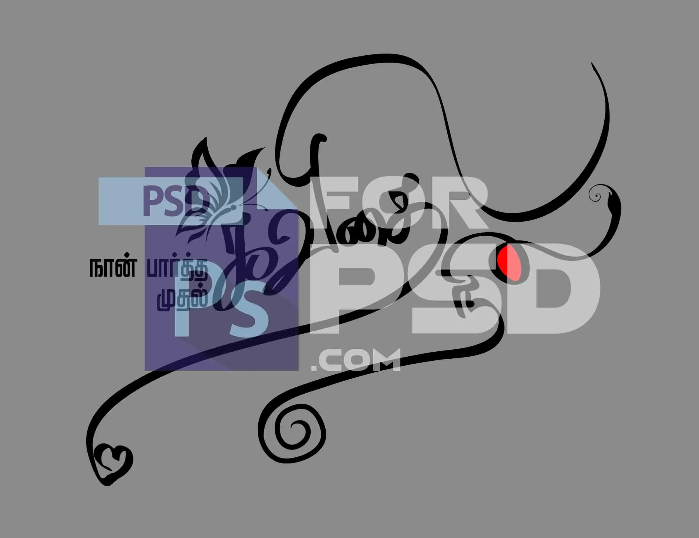 Image Preview